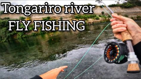 TONGARIRO RIVER FLY FISHING BIG RAINBOW TROUT YouTube