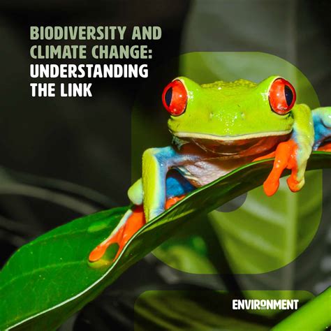 Biodiversity and Climate Change: Understanding the Link - Environment Co