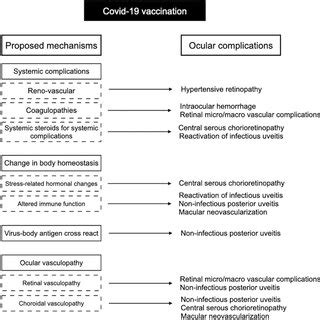 The Pathophysiological Mechanisms Presumably Contributed To The