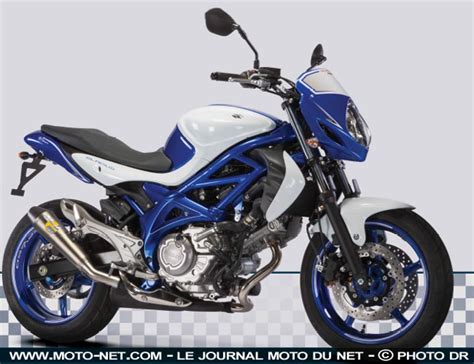 Suzuki Gladius Moto Zombdrive