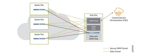 Secure And Redundant Oam Network Cso Juniper Networks