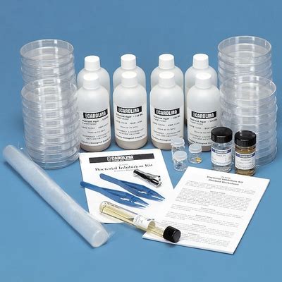 Bacterial Inhibition Kit With Voucher Carolina Biological Supply