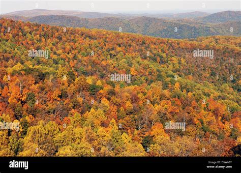 Fall Skyline Drive Shenandoah National Park in Blue Ridge Mountains of Virginia, Autumn in Blue ...