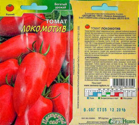 Томат Корнабель: описание сорта, отзывы