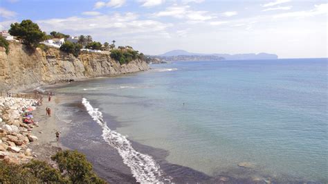 Conselleria Proh Be Retirar La Posidonia Las Playas De La Marina Alta