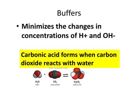 Ppt Biological Buffers Powerpoint Presentation Free Download Id