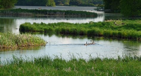 Ramsar Wetland City Accreditation – Subnational Advocacy for Nature