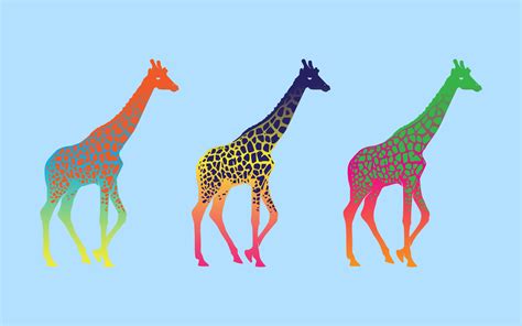 Giraffe Desktop Wallpapers Top Free Giraffe Desktop Backgrounds