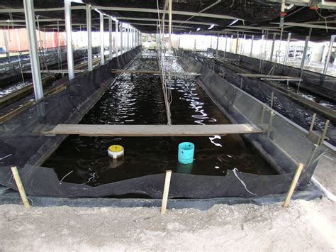 Geomembrana In Epdm Firestone Geogard™ Epdm By Firestone Building Products