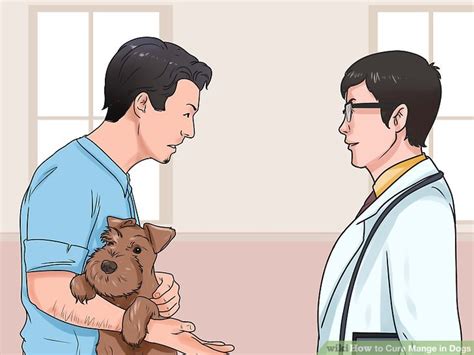 How to Cure Mange in Dogs: 11 Steps (with Pictures) - wikiHow