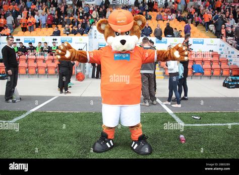 Blackpool Mascot Bloomfield Bear Prior To Kick Off Stock Photo Alamy