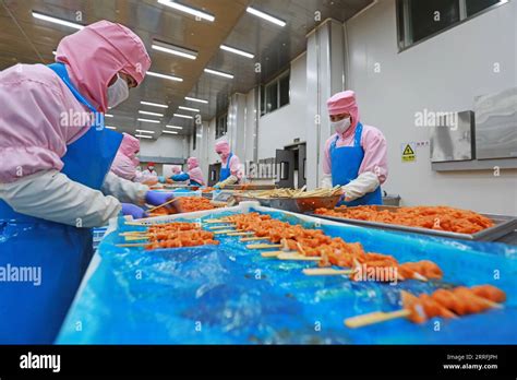 China Chicken Processing Plant Hi Res Stock Photography And Images Alamy