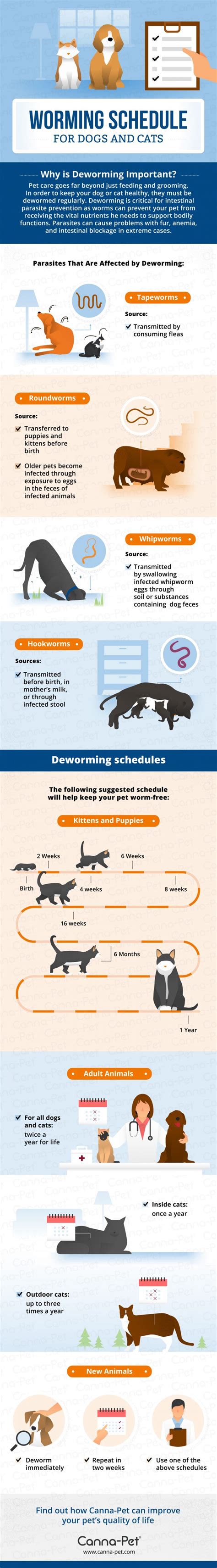 Deworming Schedule For Dogs