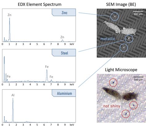 Particlex Sem Edx Sauberkeitsanalyse Rjl Micro Analytic