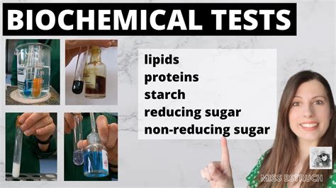 A Level Biochemical Tests Test For Starch Reducing Sugars Non