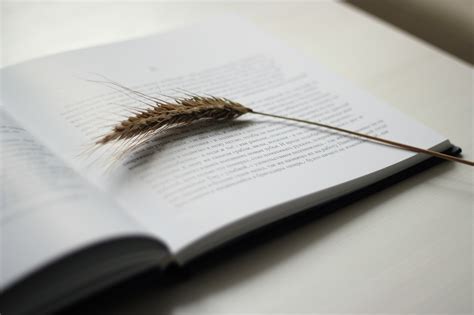 Black book I Книга В.Г. Распутина - Прощание с Матерой on Behance