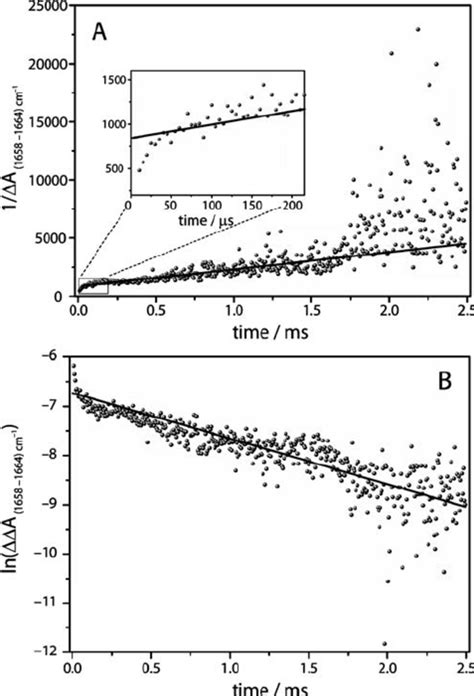 Kinetic Analysis Of The Decay Of The Difference Band 1 658 1 664 Cm − Download Scientific