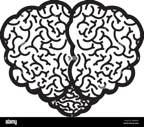 Brain Silhouette Monochrome With Top View Vector Illustration Stock