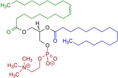 Phosphatidylcholine powder, PC choline ingredient, Manufacturer in China