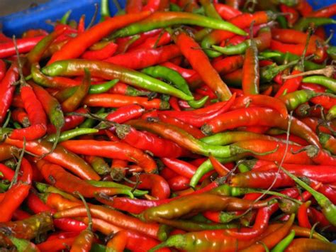 10 Hottest Chilli To Try In India The Great Indian Chilli Trail