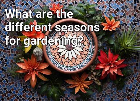 What are the different seasons for gardening? – Gardening.Gov.Capital