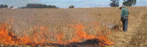 CONAF Los Ríos posterga inicio del calendario de quemas agrícolas 2023