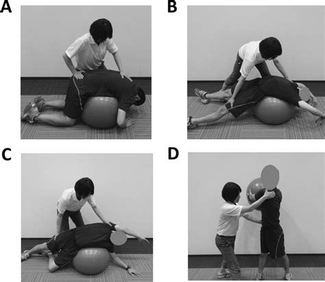 Flexion And Trunk Rotations