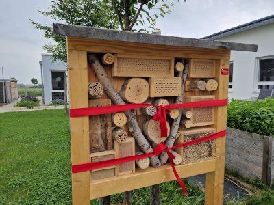 Insekten Ein Zuhause Geben XXL Insektenhotel Zieht Nach Ichenheim