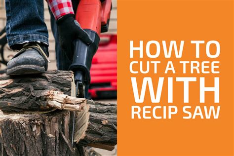 Can A Reciprocating Saw Cut Tree Branches Best Saw Guidee