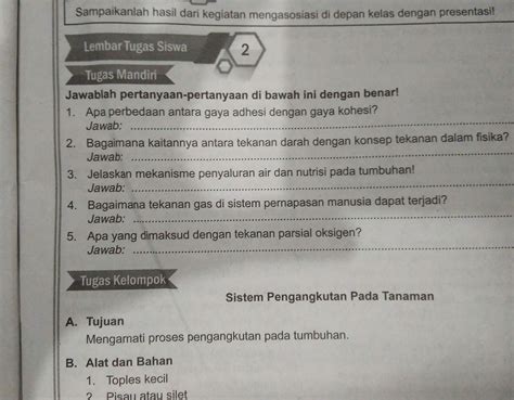 Tolong Jawab Besok Dikumpulkan Brainly Co Id