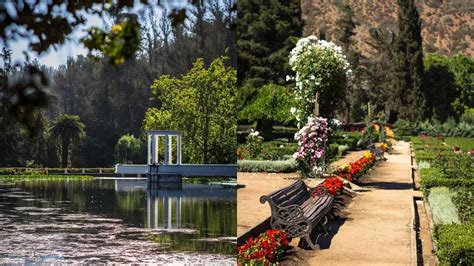 El Impactante Antes Y Después Del Jardín Botánico De Viña Del Mar Tras