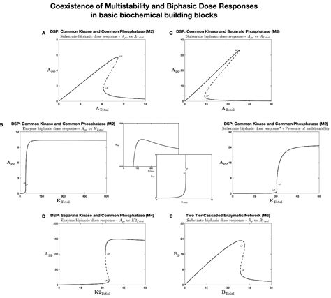 Figures And Data In A Unified Approach To Dissecting Biphasic Responses