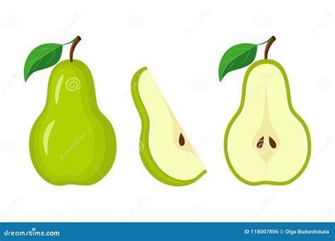 Whole Green Pear Half Pear And Slice Vector Illustration Isola Stock