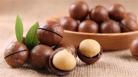 Орех макадамия: чем пахнет, какой на вкус, почему макадамский орех ...