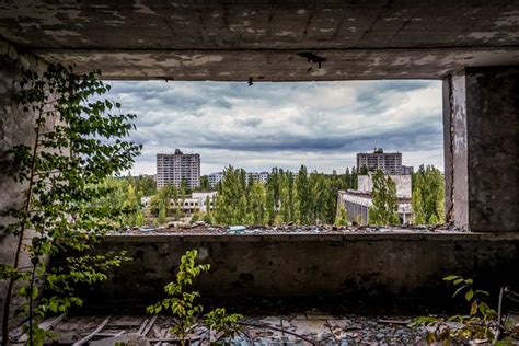 In Tschernobyl wird Radioaktivität dank eines natürlichen Wunders