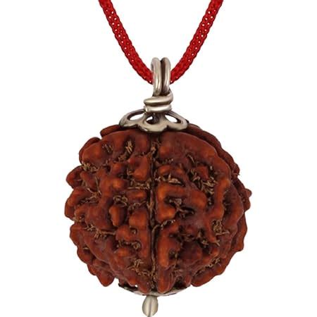 3 Mukhi Rudraksha Three Faced Nepali Rudraksh Bead Bead Original