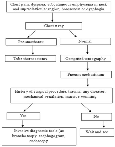 Figure 1 from Diagnosis and treatment of spontaneous pneumomediastinum ...