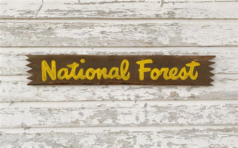 Custom National Forest Sign Customizable Sign National Park Sign Us Forest Service Outdoor