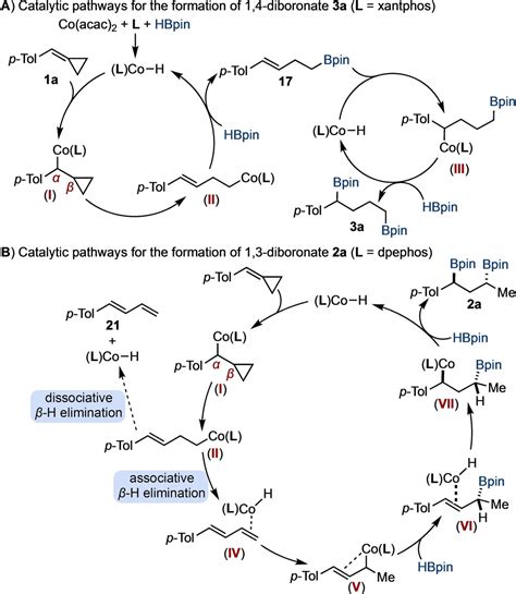 CobaltCatalyzed Regiodivergent RingOpening Dihydroboration Of