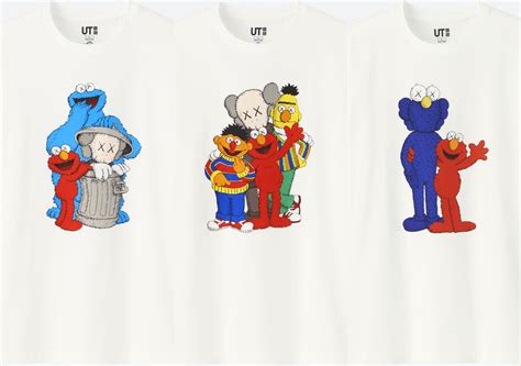 Kaws X Sesame Street Pamper My