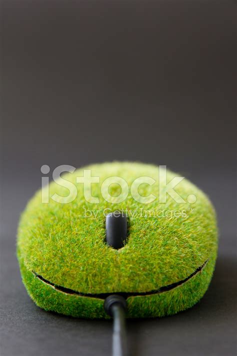 Green Computer Mouse. Stock Photo | Royalty-Free | FreeImages