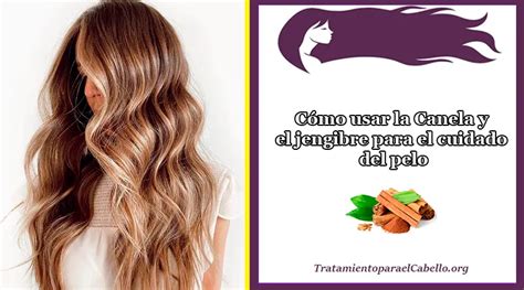 Canela Clavo De Olor Y Jengibre Para El Cabello Sedoso