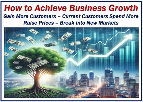 What is business growth?