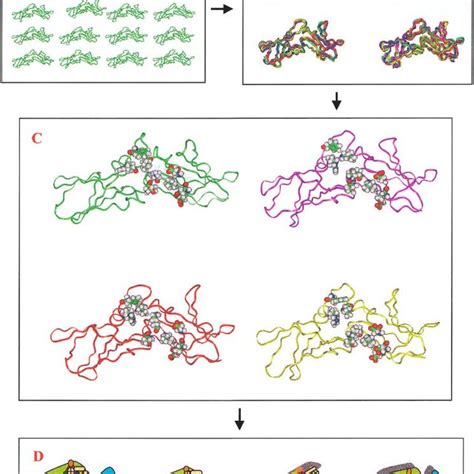 The Hinge Bending Of Tissue Factor Using An Efficient Entirely