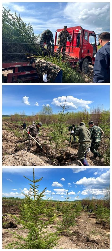 植树添新绿 种下新希望——阿木尔林业局资源科开展义务植树活动isenlincn