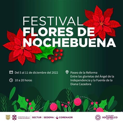 ¡vamos Todo Lo Que Debes Saber Sobre El Festival Flores De Nochebuena 2022