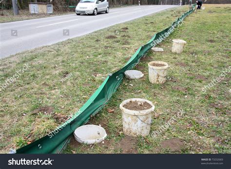 Frog Protection Spawning Migration Frog Fence Is Set To Prevent Frogs