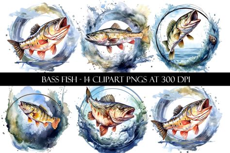 Bass Fish Clipart Graphic By Digital Paper Packs Creative Fabrica