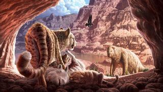 20,000 years ago, two American cheetahs fought to the death in a Grand ...