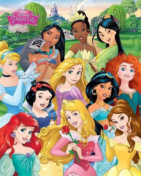 Disney Princess Prinsessen Poster X Cm Bol